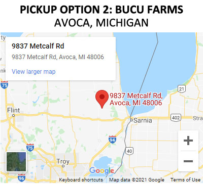 Buy Local Meat in Avoca, Michigan